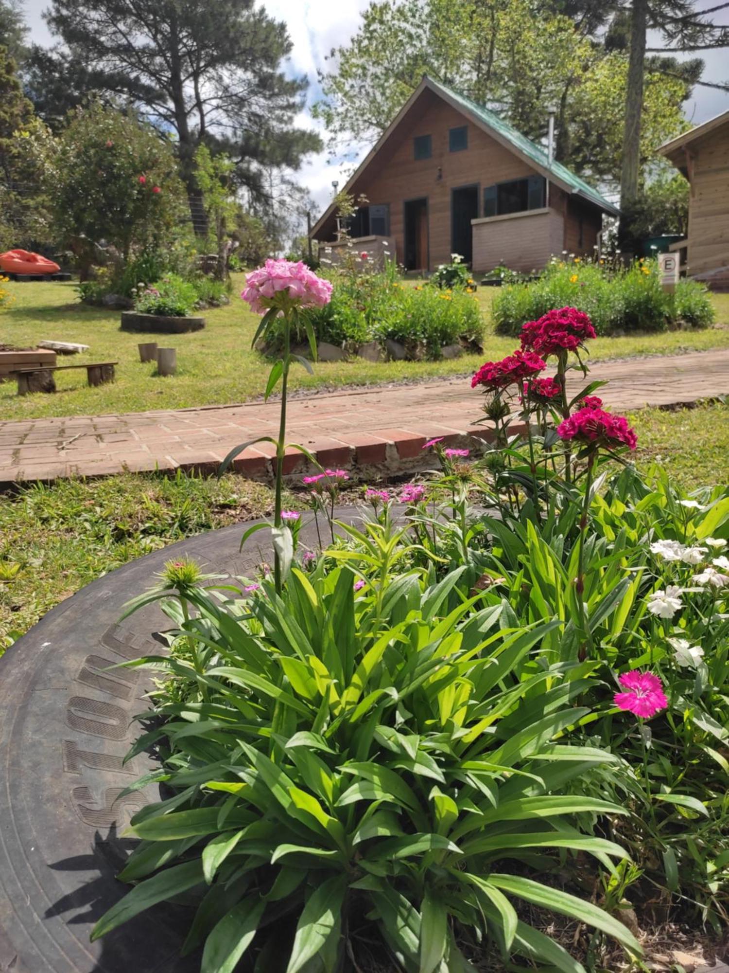 cabanas luar serra São Francisco de Paula Exterior foto